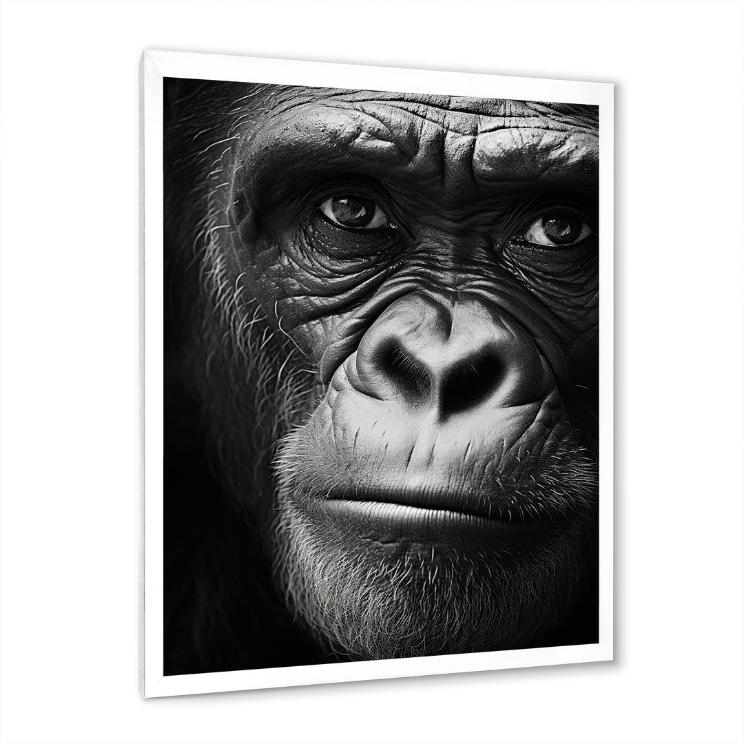 The Gorilla Matriarch - Gorilla Wall Decor