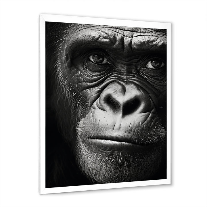 The Gorilla Matriarch - Gorilla Wall Decor