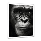 The Gorilla Matriarch - Gorilla Wall Decor