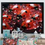 Dreamy Ladybug Reflections - Ladybug Wall Art Prints