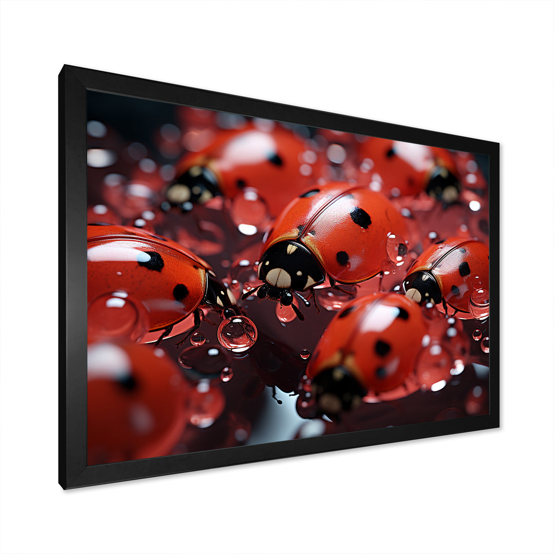 Dreamy Ladybug Reflections - Ladybug Wall Art Prints
