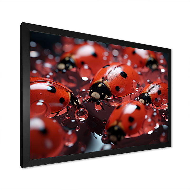 Dreamy Ladybug Reflections - Ladybug Wall Art Prints