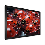 Dreamy Ladybug Reflections - Ladybug Wall Art Prints