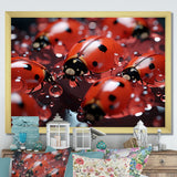 Dreamy Ladybug Reflections - Ladybug Wall Art Prints