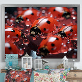 Dreamy Ladybug Reflections - Ladybug Wall Art Prints