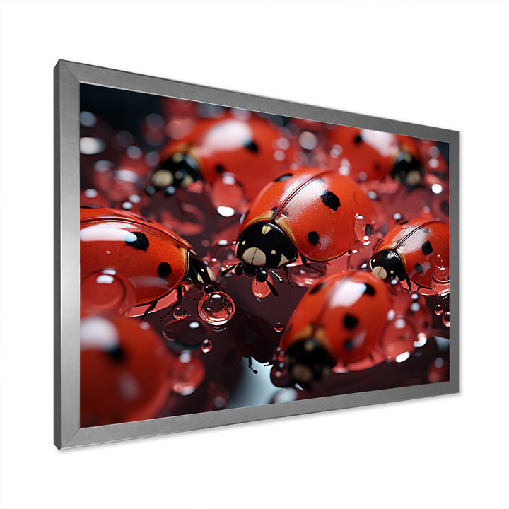 Dreamy Ladybug Reflections - Ladybug Wall Art Prints