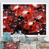 Dreamy Ladybug Reflections - Ladybug Wall Art Prints