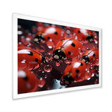 Dreamy Ladybug Reflections - Ladybug Wall Art Prints