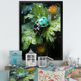 Emerald Ladybug Garden Domain - Green Ladybug Wall Art