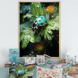 Emerald Ladybug Garden Domain - Green Ladybug Wall Art