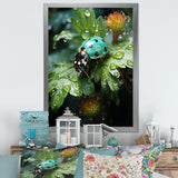 Emerald Ladybug Garden Domain - Green Ladybug Wall Art