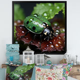 Enchanted Ladybug Forest - Ladybug Framed Canvas Art