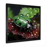 Enchanted Ladybug Forest - Ladybug Framed Canvas Art
