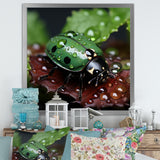Enchanted Ladybug Forest - Ladybug Framed Canvas Art