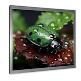 Enchanted Ladybug Forest - Ladybug Framed Canvas Art