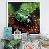 Enchanted Ladybug Forest - Ladybug Framed Canvas Art