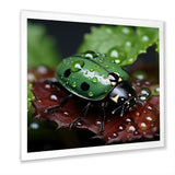 Enchanted Ladybug Forest - Ladybug Framed Canvas Art