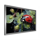 Rainy Ladybugs Lullaby - Ladybug Home Decor Art