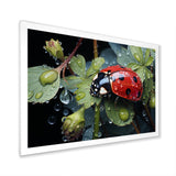 Rainy Ladybugs Lullaby - Ladybug Home Decor Art
