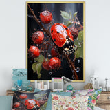 Ethereal Lady Bug Encounter - Ladybug Bedroom Wall Art