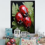 Tiny Ladybug Garden Guardians - Ladybug Canvas Wall Art