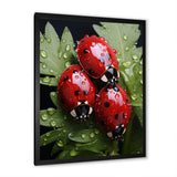 Tiny Ladybug Garden Guardians - Ladybug Canvas Wall Art