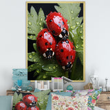 Tiny Ladybug Garden Guardians - Ladybug Canvas Wall Art