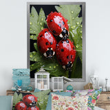Tiny Ladybug Garden Guardians - Ladybug Canvas Wall Art