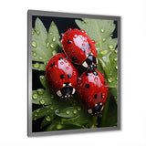 Tiny Ladybug Garden Guardians - Ladybug Canvas Wall Art