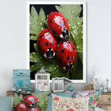 Tiny Ladybug Garden Guardians - Ladybug Canvas Wall Art