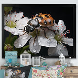 Nature S Mystery Blooming Ladybug - Ladybug Wall Art Prints