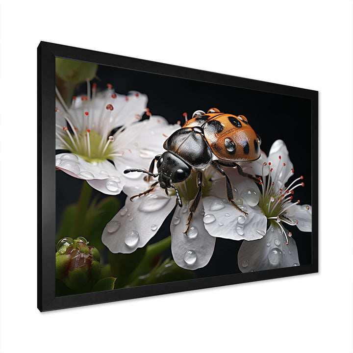 Nature S Mystery Blooming Ladybug - Ladybug Wall Art Prints