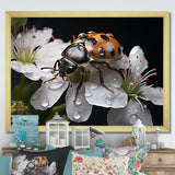 Nature S Mystery Blooming Ladybug - Ladybug Wall Art Prints