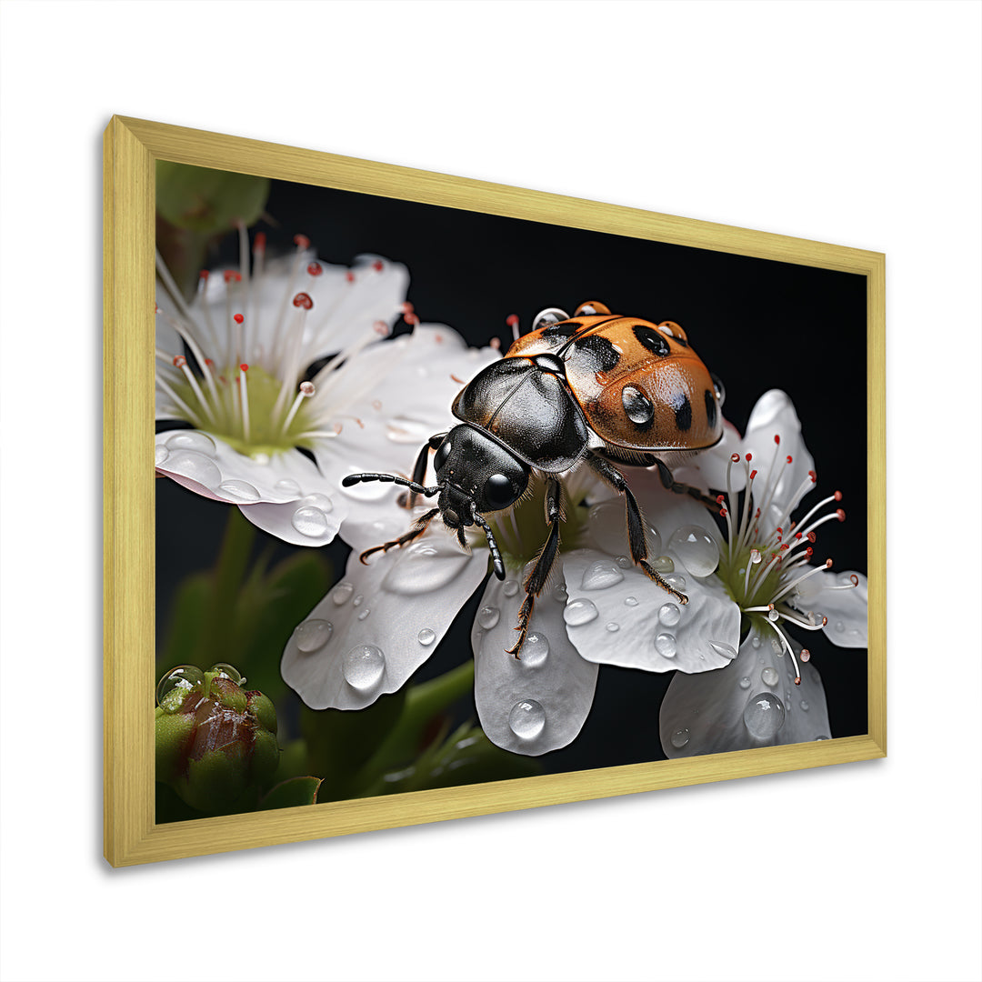Nature S Mystery Blooming Ladybug - Ladybug Wall Art Prints