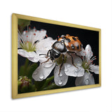 Nature S Mystery Blooming Ladybug - Ladybug Wall Art Prints
