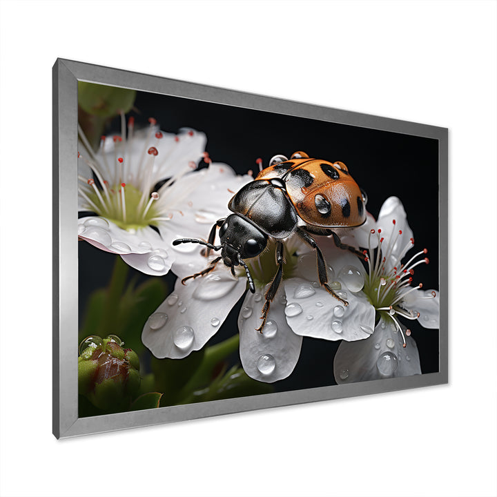 Nature S Mystery Blooming Ladybug - Ladybug Wall Art Prints