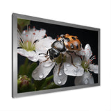 Nature S Mystery Blooming Ladybug - Ladybug Wall Art Prints