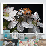 Nature S Mystery Blooming Ladybug - Ladybug Wall Art Prints