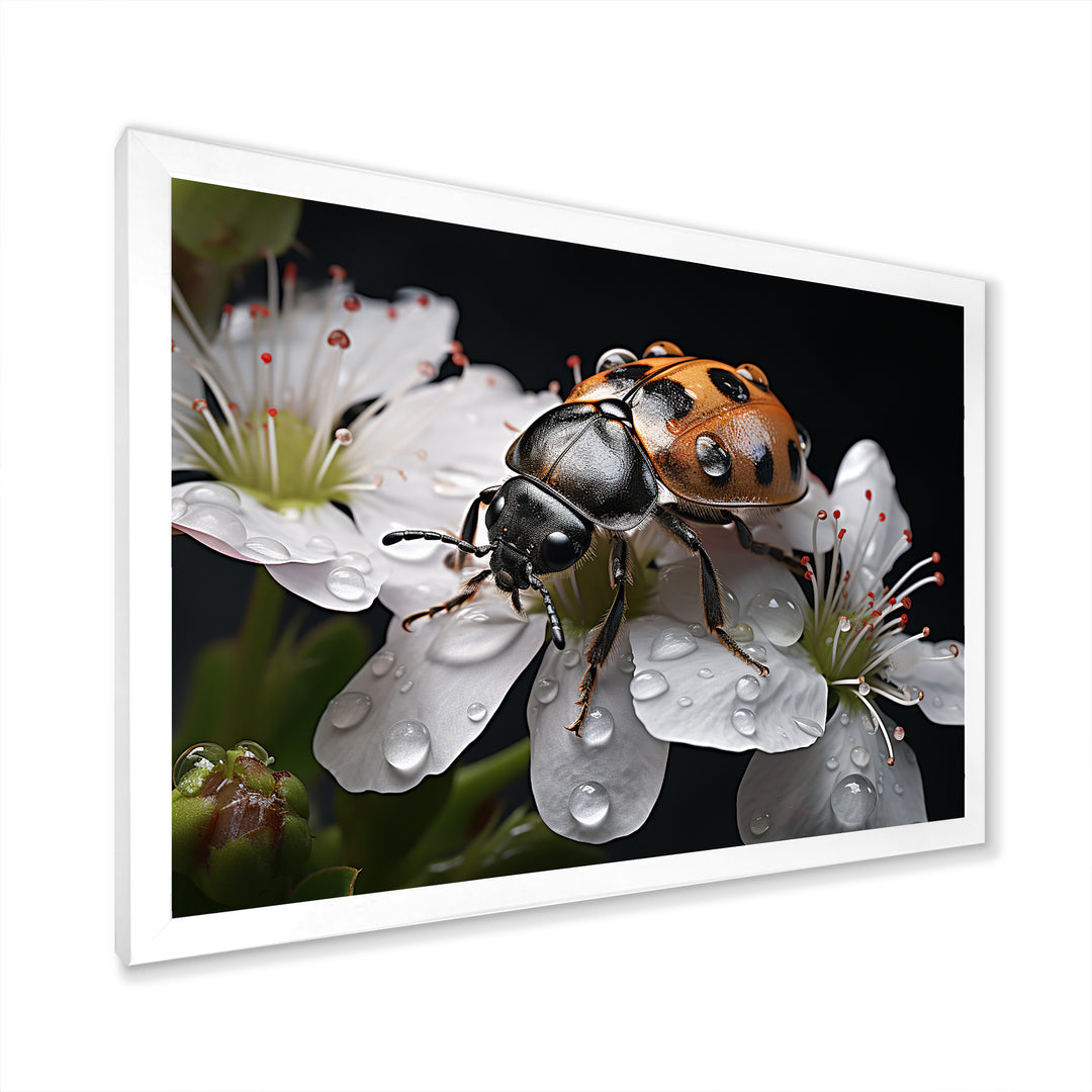 Nature S Mystery Blooming Ladybug - Ladybug Wall Art Prints