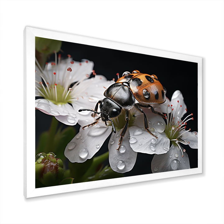 Nature S Mystery Blooming Ladybug - Ladybug Wall Art Prints
