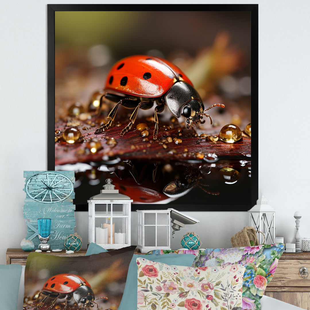 Lively Ladybug Reflections - Ladybug Framed Canvas Art