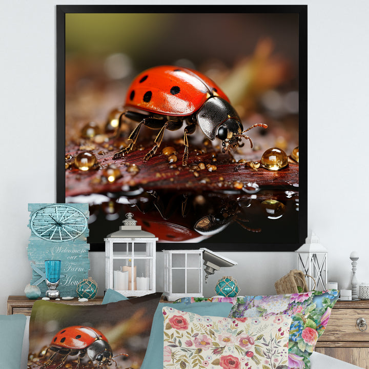 Lively Ladybug Reflections - Ladybug Framed Canvas Art