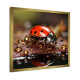 Lively Ladybug Reflections - Ladybug Framed Canvas Art