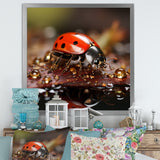 Lively Ladybug Reflections - Ladybug Framed Canvas Art