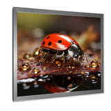 Lively Ladybug Reflections - Ladybug Framed Canvas Art