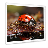 Lively Ladybug Reflections - Ladybug Framed Canvas Art