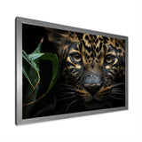 Candid Jungle Captivation Leopard - Leopard Framed Canvas Art