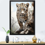 Majesty Leopard Gaze Of The Wild - Beige Leopard Wall Art