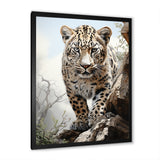 Majesty Leopard Gaze Of The Wild - Beige Leopard Wall Art