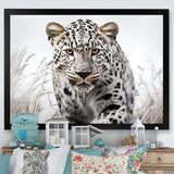 Jungle Leopard Stalk I - Animals Canvas Wall Art